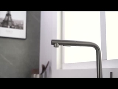 Zug--Untensprüher-Küchen-Hahn des Einzel-Griff-SUS304 mit zwei Funktion Sprayhead